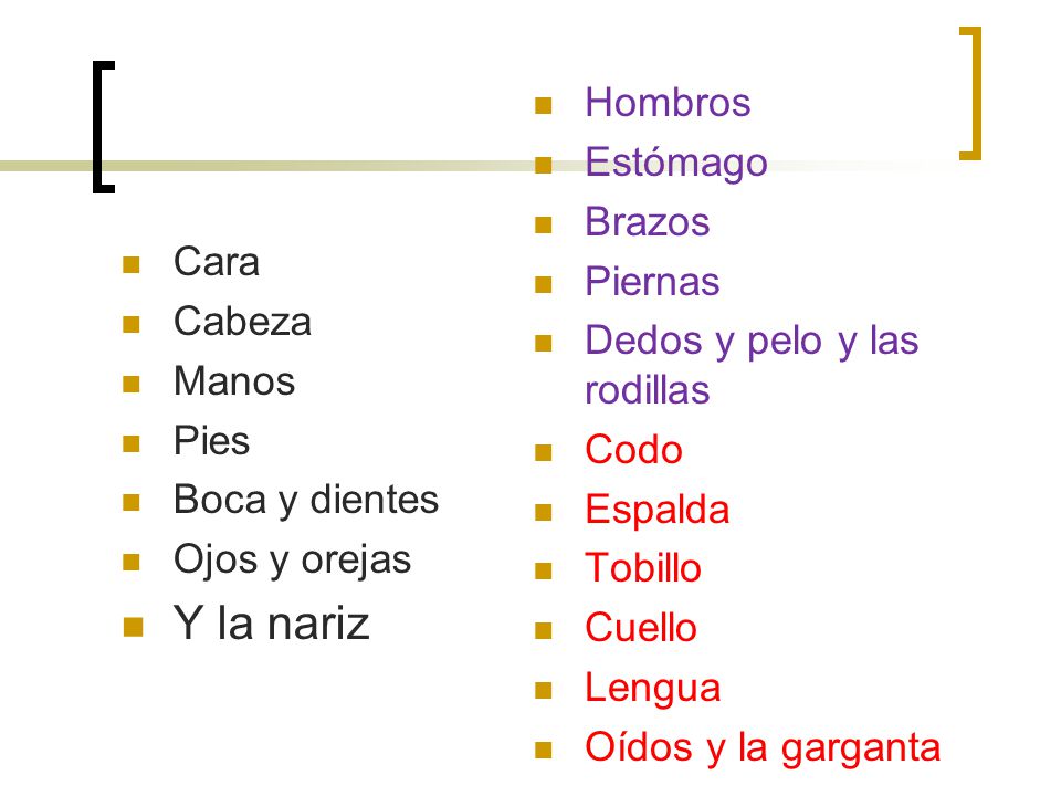 Y la nariz Hombros Estómago Brazos Piernas Dedos y pelo y las rodillas