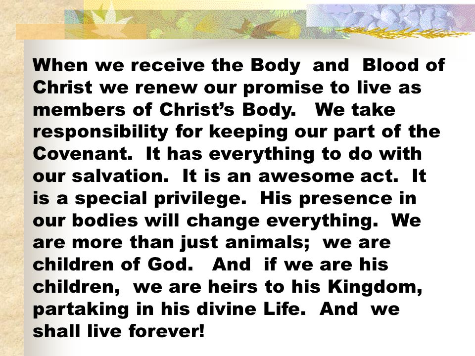 When we receive the Body and Blood of Christ we renew our promise to live as members of Christ’s Body.