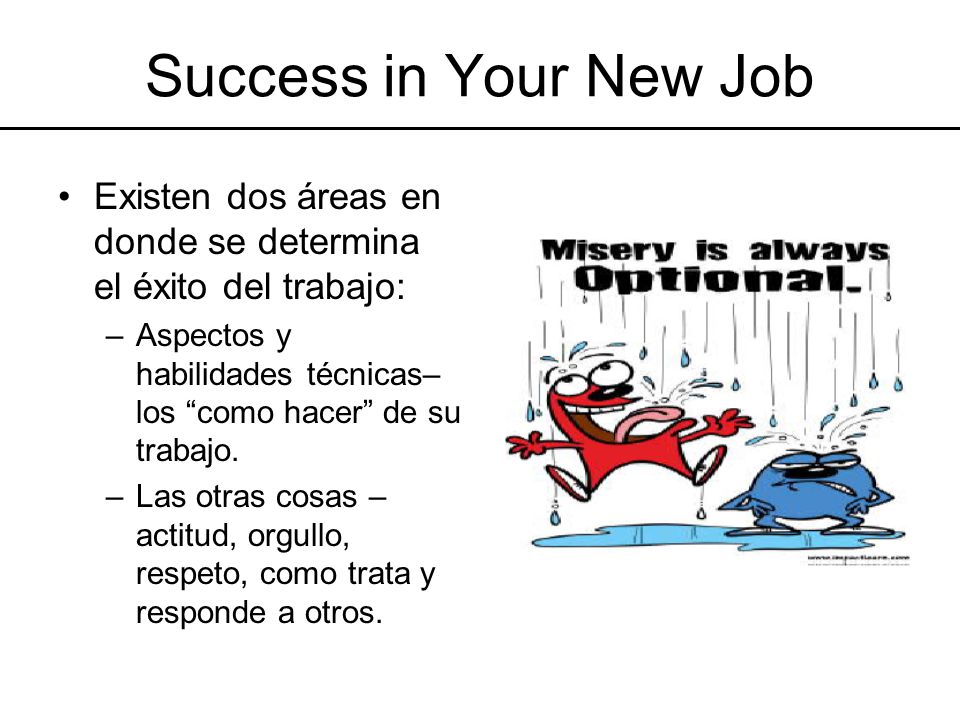 Success in Your New Job Existen dos áreas en donde se determina el éxito del trabajo: