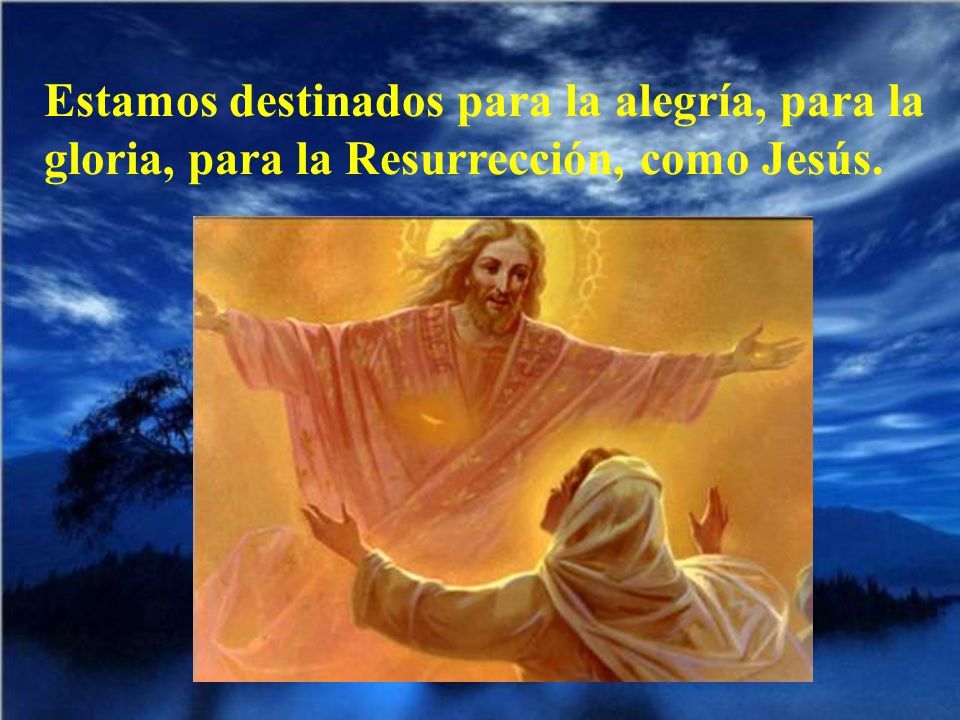 Estamos destinados para la alegría, para la gloria, para la Resurrección, como Jesús.