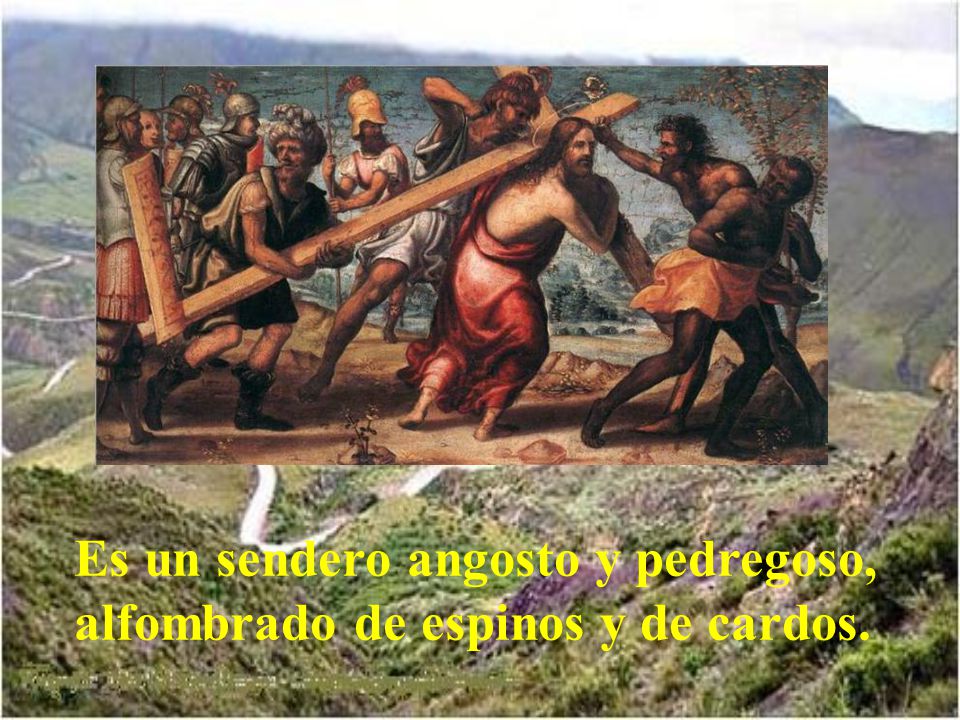 Es un sendero angosto y pedregoso, alfombrado de espinos y de cardos.