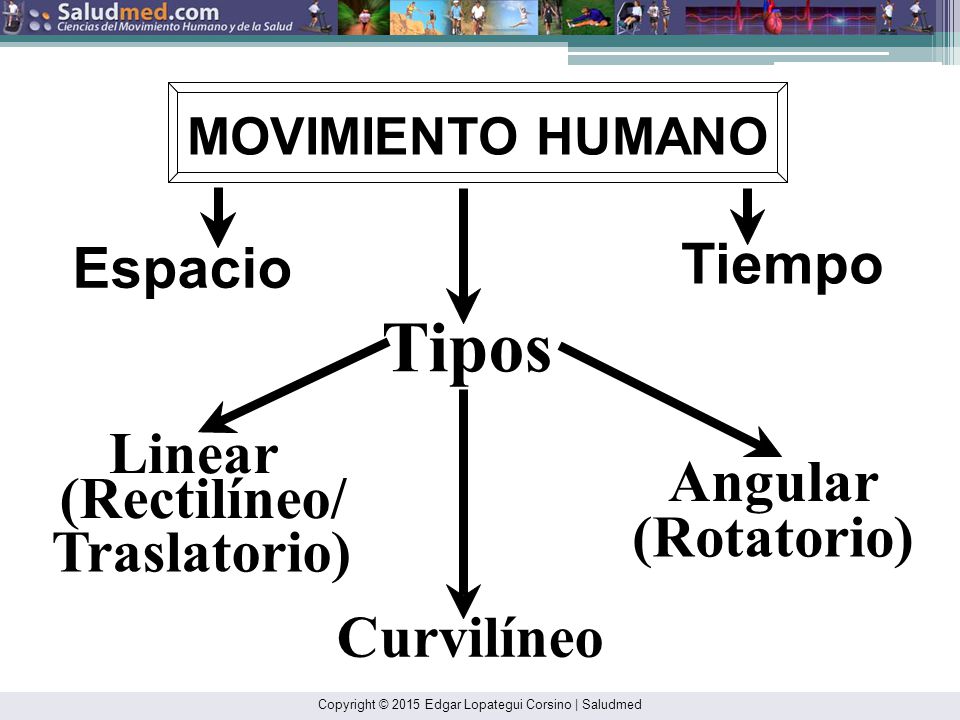 Tipos Linear Angular (Rectilíneo/ (Rotatorio) Traslatorio) Curvilíneo