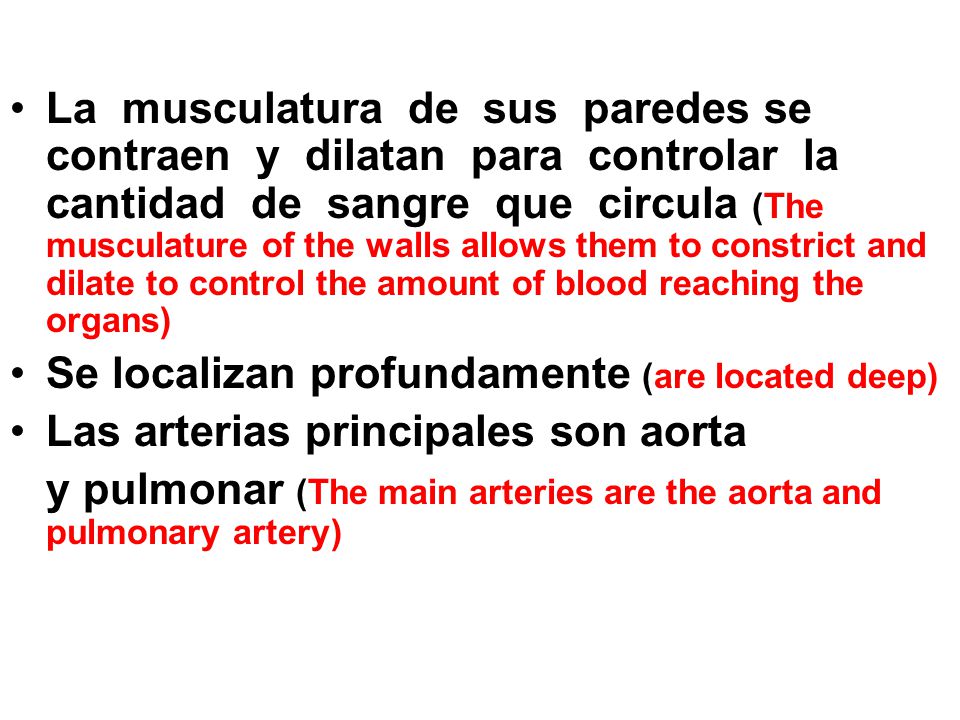 La musculatura de sus paredes se contraen y dilatan para controlar la cantidad de sangre que circula (The musculature of the walls allows them to constrict and dilate to control the amount of blood reaching the organs)