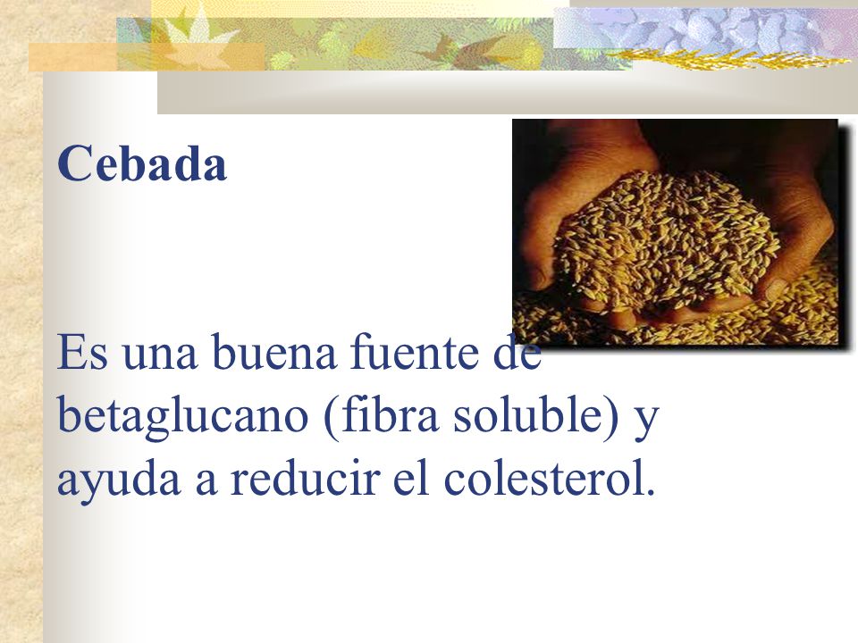 Cebada Es una buena fuente de betaglucano (fibra soluble) y ayuda a reducir el colesterol.