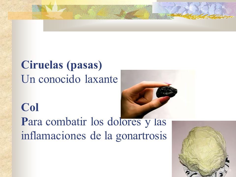 Ciruelas (pasas) Un conocido laxante Col Para combatir los dolores y las inflamaciones de la gonartrosis