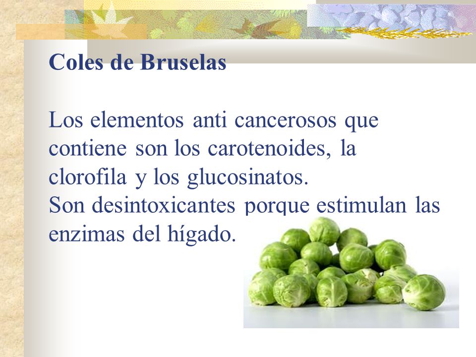 Coles de Bruselas Los elementos anti cancerosos que contiene son los carotenoides, la clorofila y los glucosinatos.