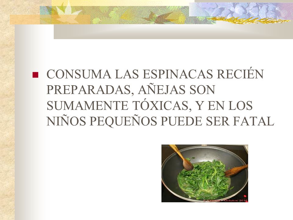 CONSUMA LAS ESPINACAS RECIÉN PREPARADAS, AÑEJAS SON SUMAMENTE TÓXICAS, Y EN LOS NIÑOS PEQUEÑOS PUEDE SER FATAL
