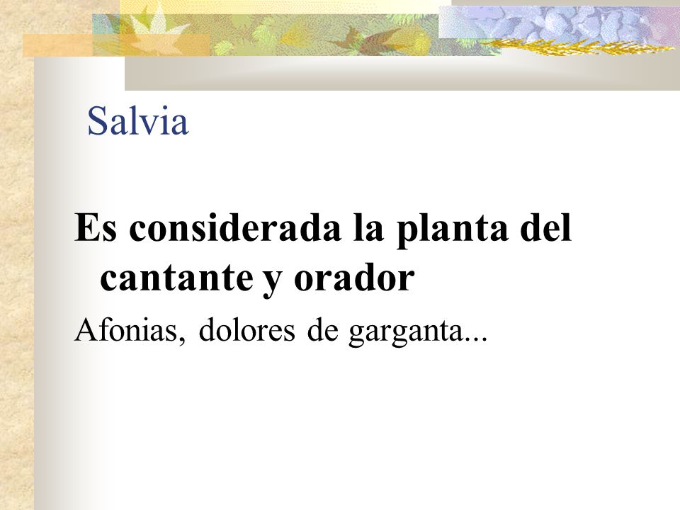 Es considerada la planta del cantante y orador