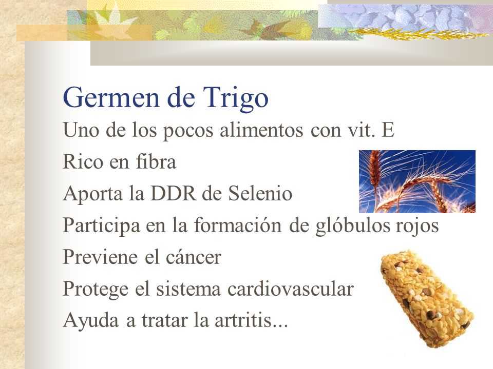 Germen de Trigo Uno de los pocos alimentos con vit. E Rico en fibra