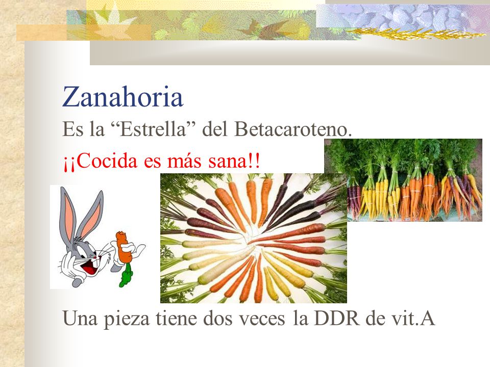 Zanahoria Es la Estrella del Betacaroteno. ¡¡Cocida es más sana!!