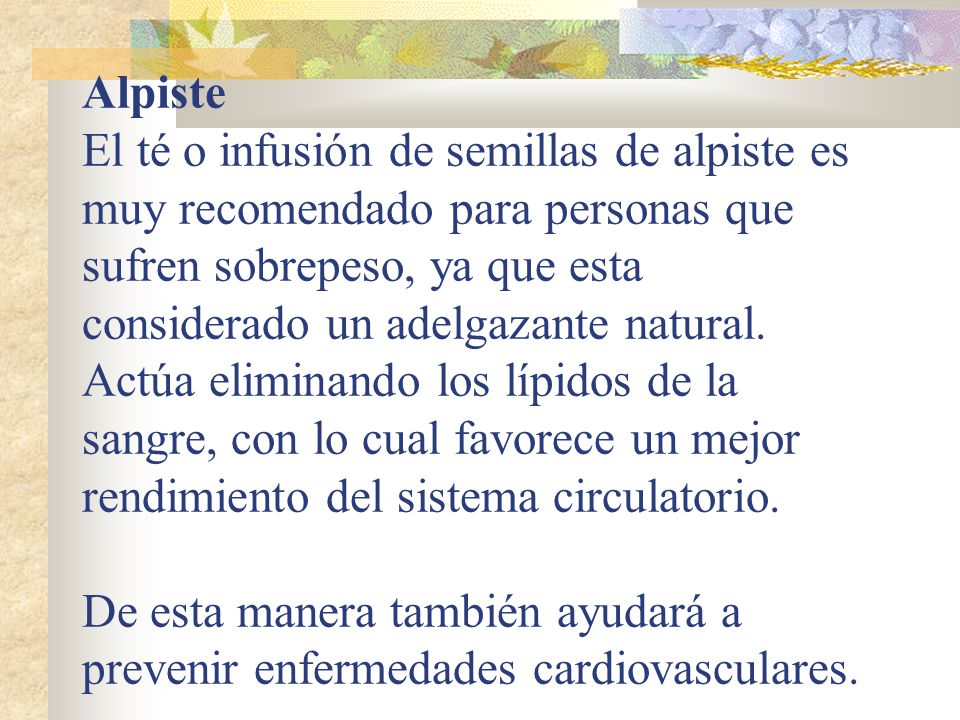 Alpiste El té o infusión de semillas de alpiste es muy recomendado para personas que sufren sobrepeso, ya que esta considerado un adelgazante natural.