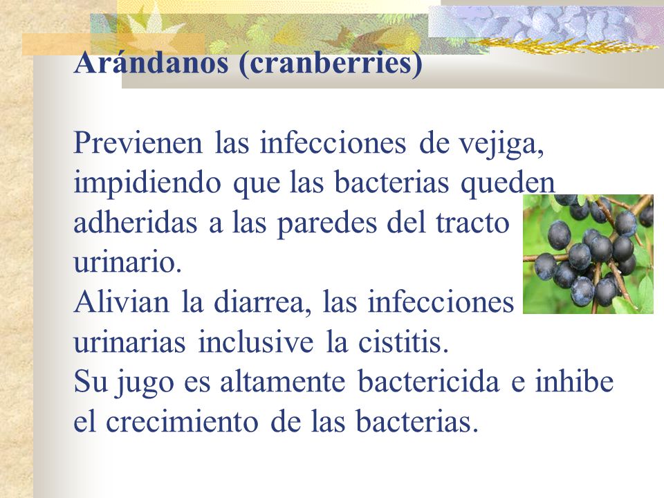 Arándanos (cranberries) Previenen las infecciones de vejiga, impidiendo que las bacterias queden adheridas a las paredes del tracto urinario.