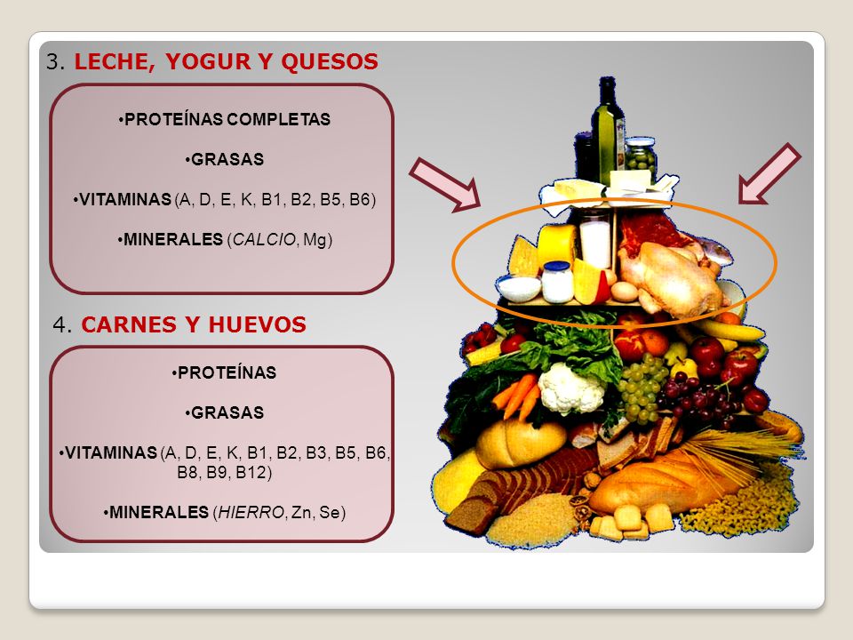 3. LECHE, YOGUR Y QUESOS 4. CARNES Y HUEVOS PROTEÍNAS COMPLETAS GRASAS
