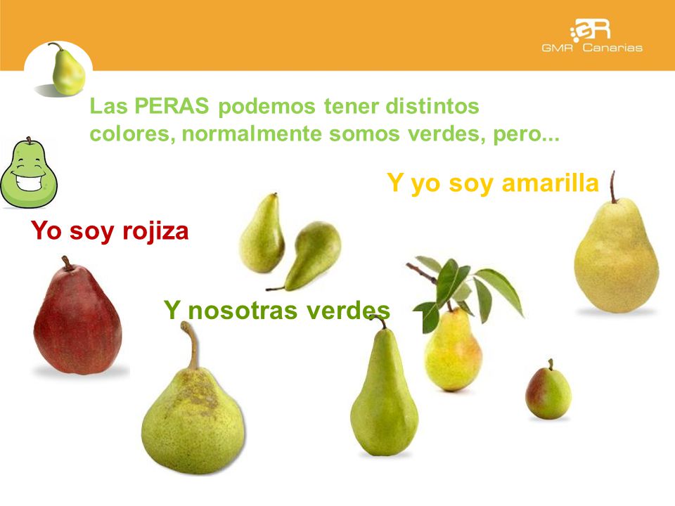 Y yo soy amarilla Yo soy rojiza Y nosotras verdes