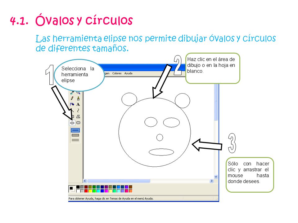 4.1. Óvalos y círculos Las herramienta elipse nos permite dibujar óvalos y círculos de diferentes tamaños.