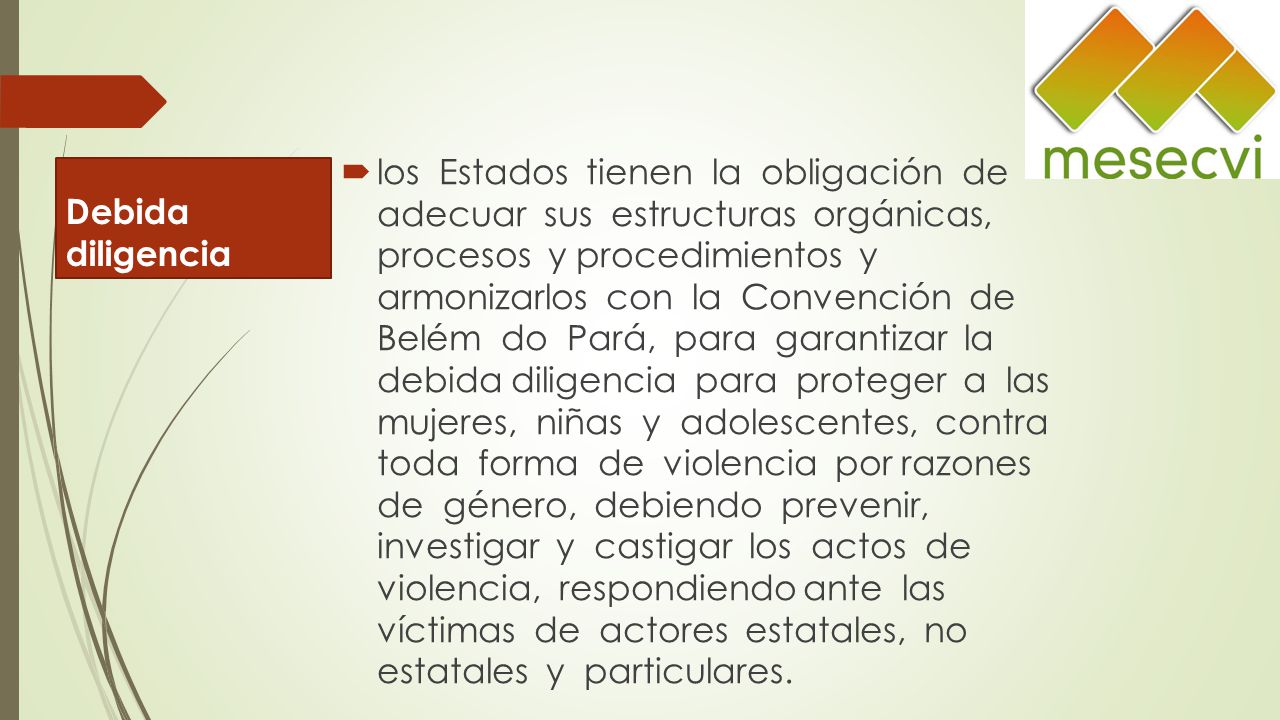 los Estados tienen la obligación de adecuar sus estructuras orgánicas, procesos y procedimientos y armonizarlos con la Convención de Belém do Pará, para garantizar la debida diligencia para proteger a las mujeres, niñas y adolescentes, contra toda forma de violencia por razones de género, debiendo prevenir, investigar y castigar los actos de violencia, respondiendo ante las víctimas de actores estatales, no estatales y particulares.