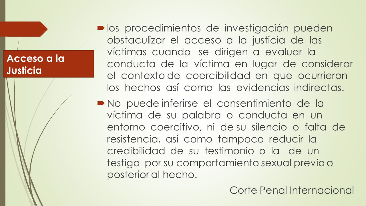 Corte Penal Internacional Acceso a la Justicia