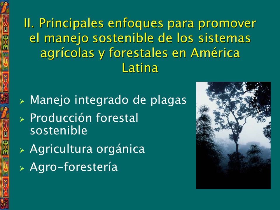 II. Principales enfoques para promover el manejo sostenible de los sistemas agrícolas y forestales en América Latina