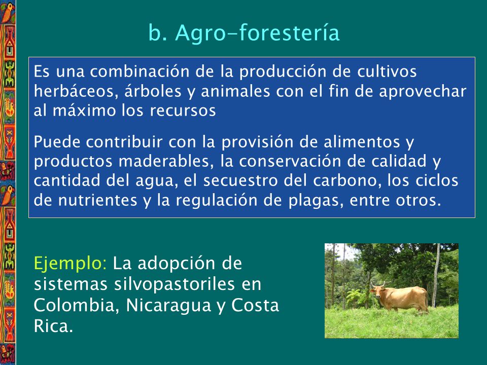 b. Agro-forestería Es una combinación de la producción de cultivos herbáceos, árboles y animales con el fin de aprovechar al máximo los recursos.