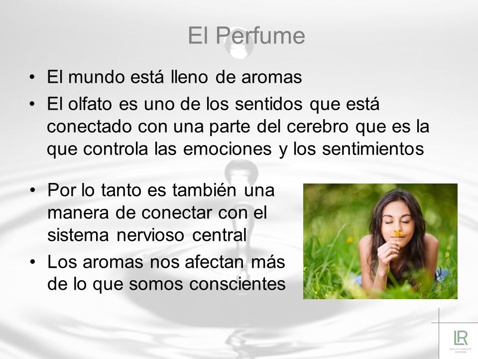 LOS PERFUMES. - ppt descargar