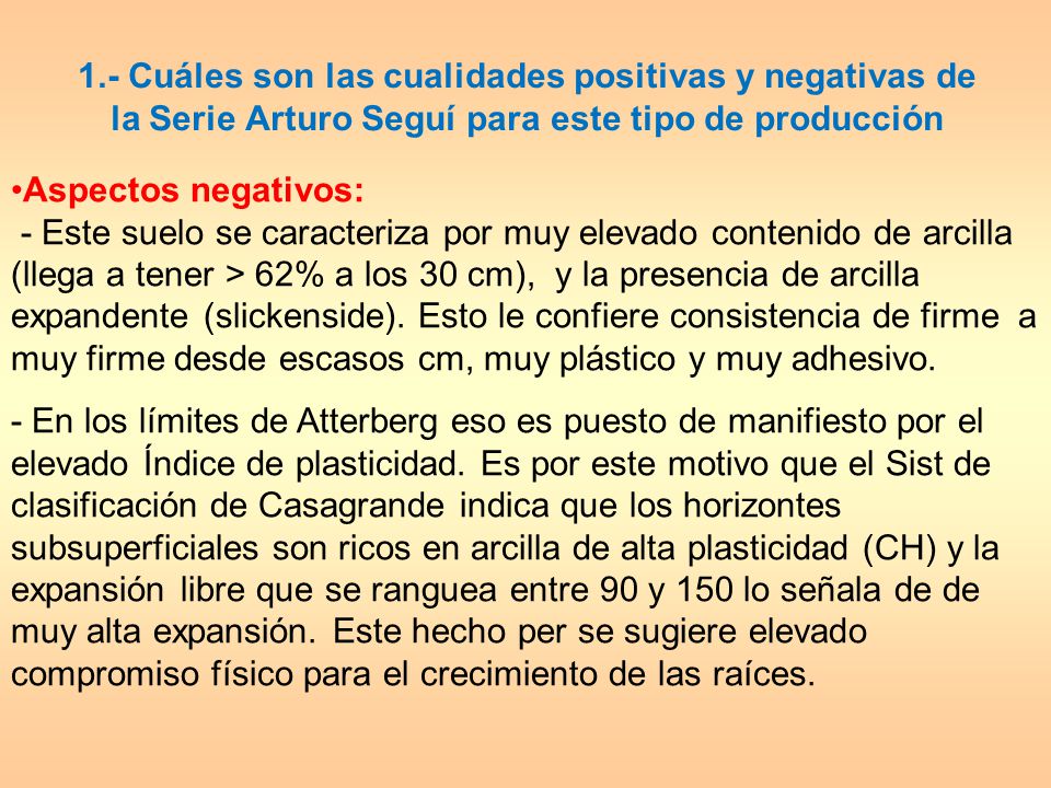 1.- Cuáles son las cualidades positivas y negativas de la Serie Arturo Seguí para este tipo de producción
