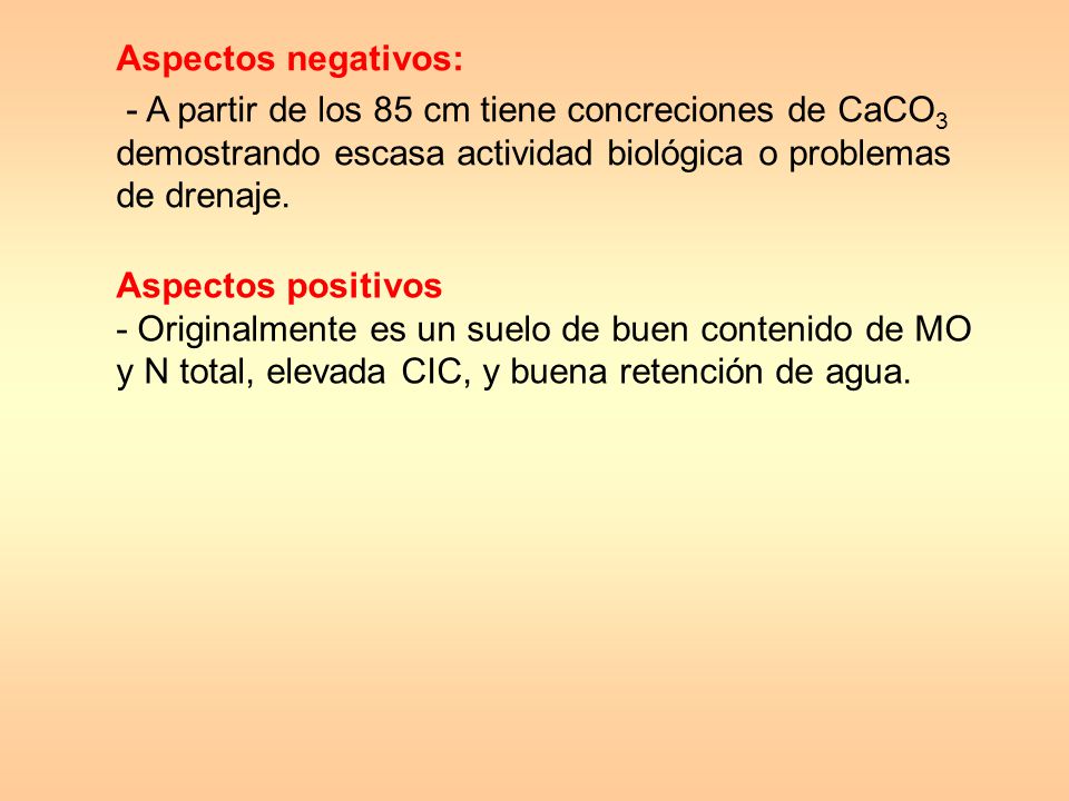 Aspectos negativos: - A partir de los 85 cm tiene concreciones de CaCO3 demostrando escasa actividad biológica o problemas de drenaje.