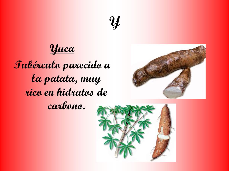 Tubérculo parecido a la patata, muy rico en hidratos de carbono.