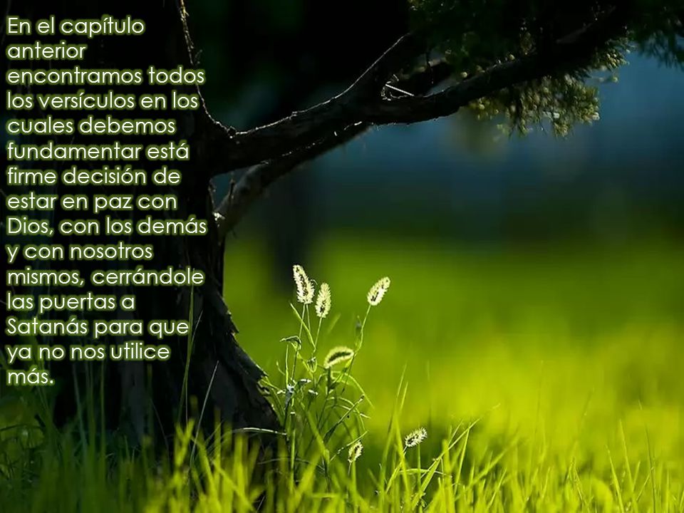 En el capítulo anterior encontramos todos los versículos en los cuales debemos fundamentar está firme decisión de estar en paz con Dios, con los demás y con nosotros mismos, cerrándole las puertas a Satanás para que ya no nos utilice más.