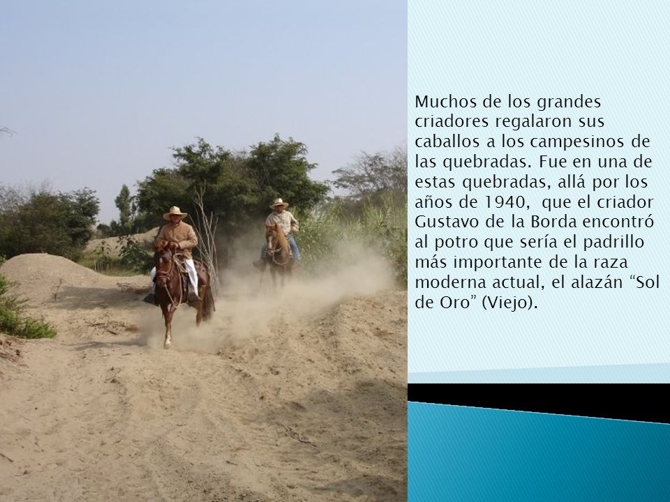 Muchos de los grandes criadores regalaron sus caballos a los campesinos de las quebradas.