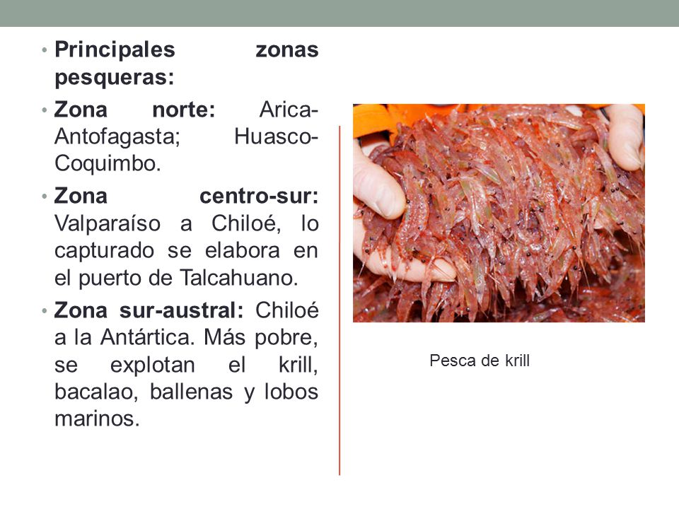 Principales zonas pesqueras: