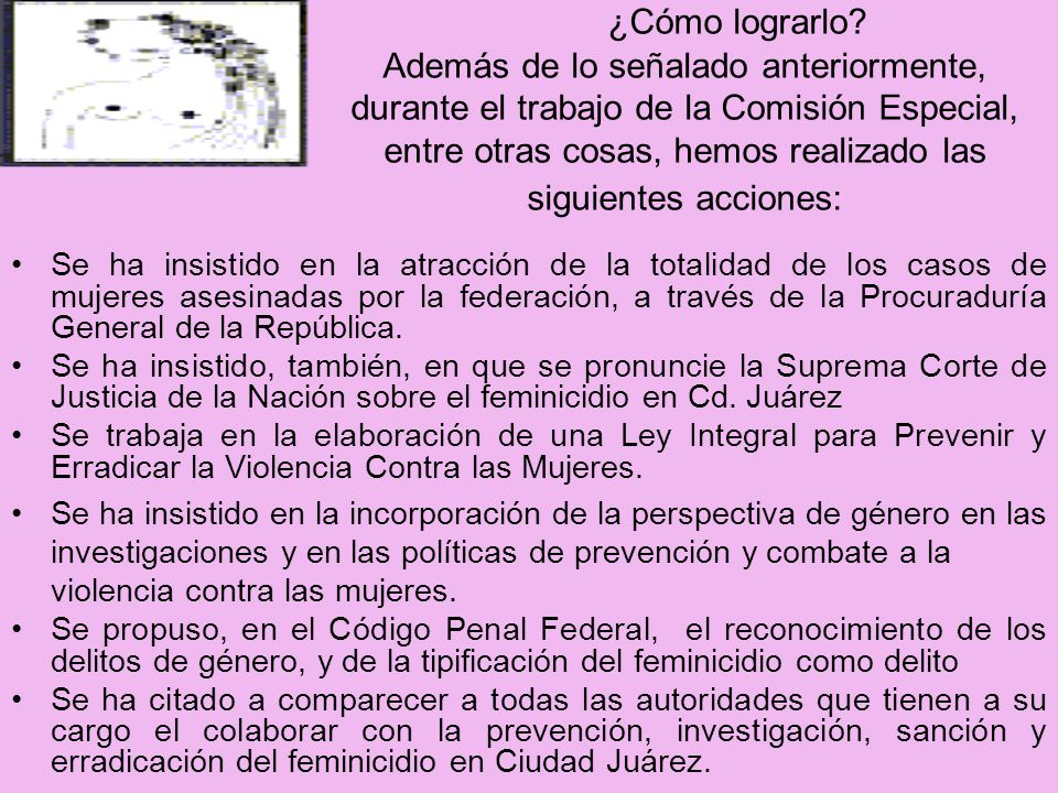 ¿Cómo lograrlo Además de lo señalado anteriormente, durante el trabajo de la Comisión Especial, entre otras cosas, hemos realizado las siguientes acciones: