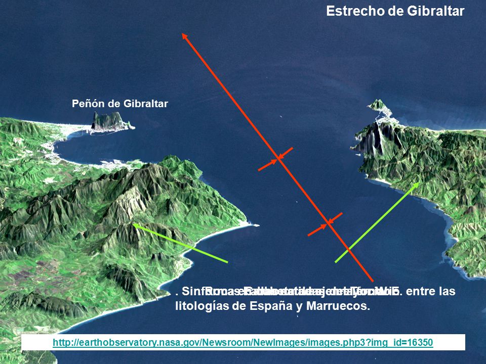 Estrecho de Gibraltar Peñón de Gibraltar. . Sinforma en cubeta de eje mayor W-E. entre las litologías de España y Marruecos.
