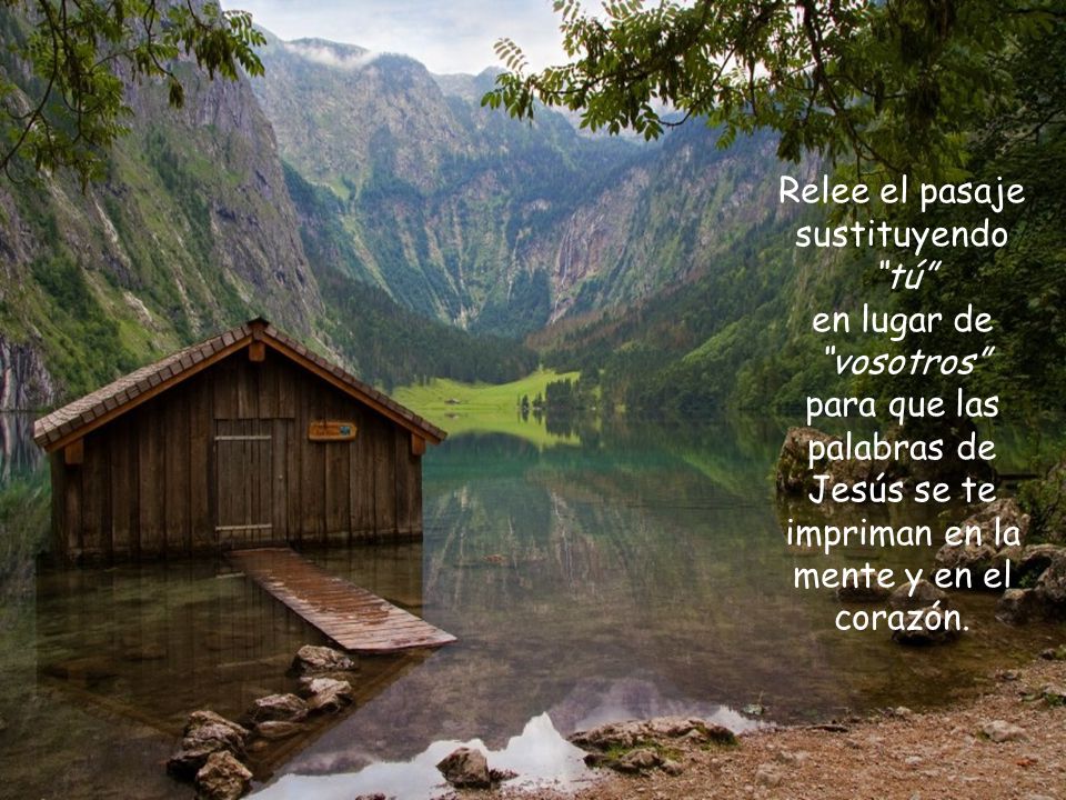 Relee el pasaje sustituyendo tú en lugar de vosotros para que las palabras de Jesús se te impriman en la mente y en el corazón.
