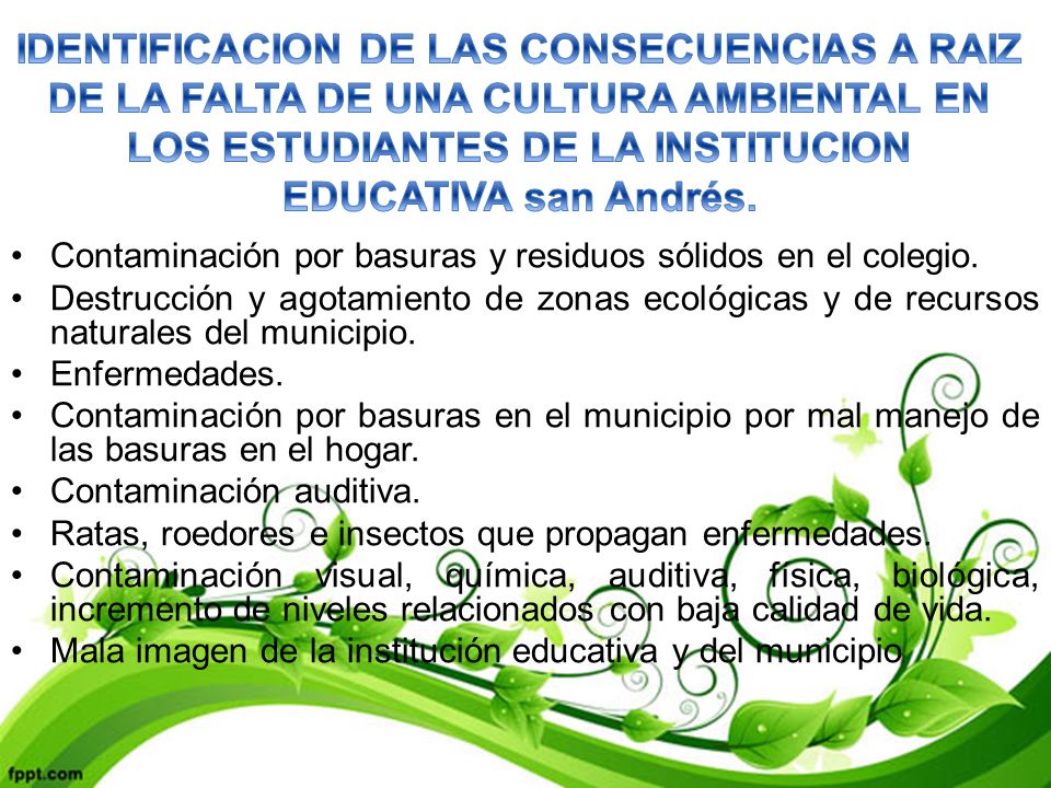 IDENTIFICACION DE LAS CONSECUENCIAS A RAIZ DE LA FALTA DE UNA CULTURA AMBIENTAL EN LOS ESTUDIANTES DE LA INSTITUCION EDUCATIVA san Andrés.