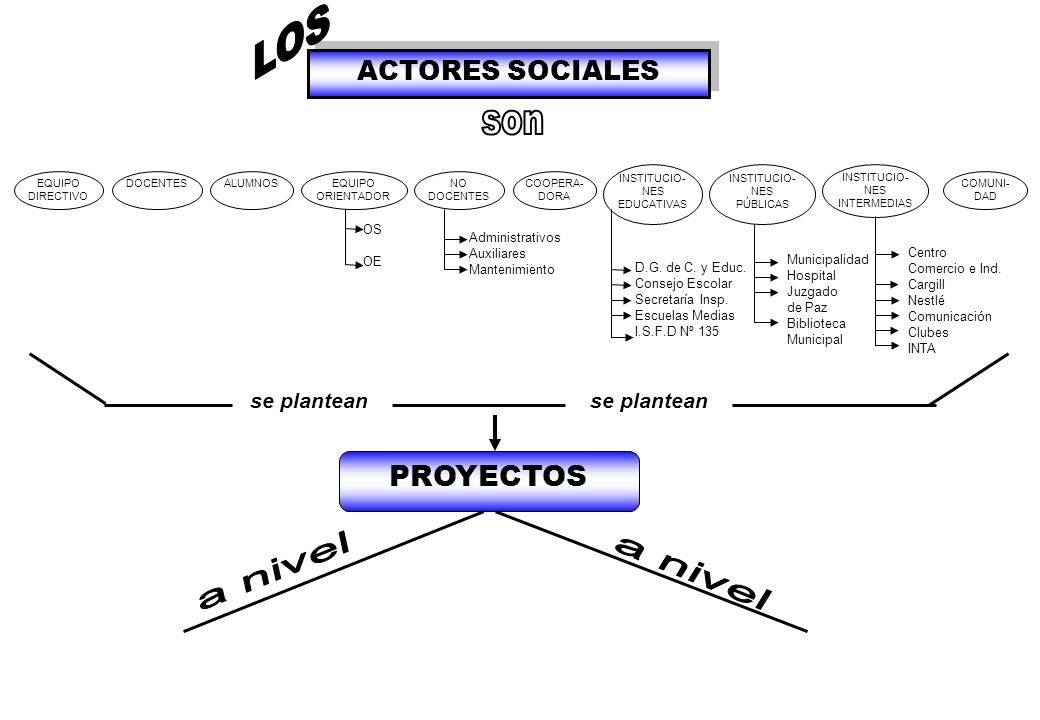 LOS son a nivel a nivel PROYECTOS ACTORES SOCIALES se plantean