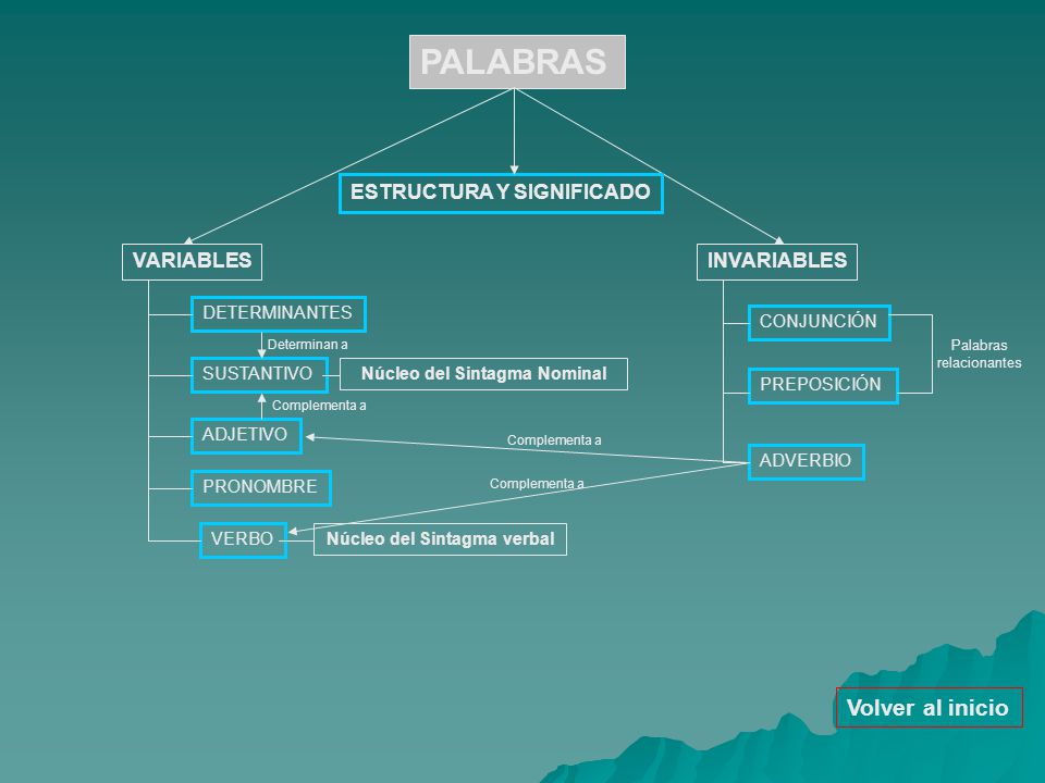 Núcleo del Sintagma Nominal Núcleo del Sintagma verbal