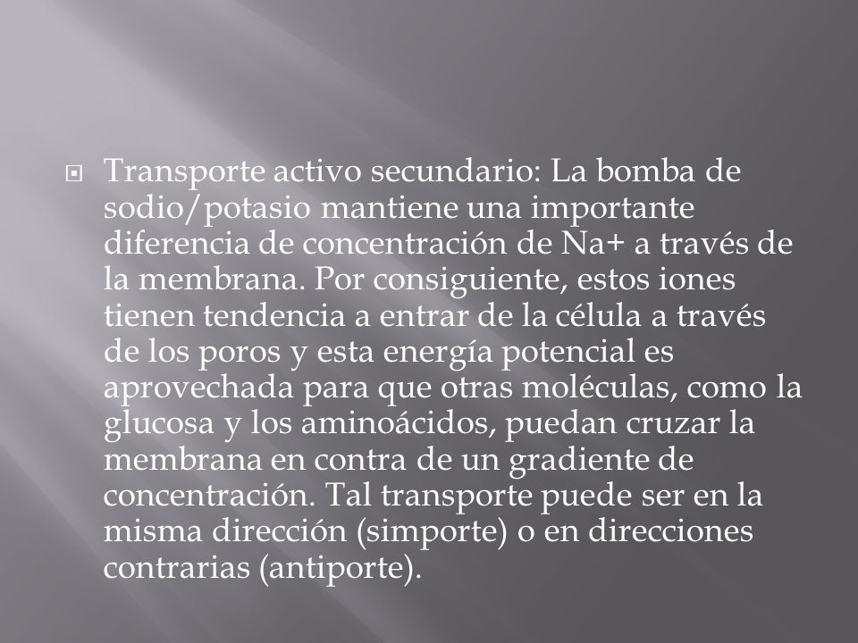 Transporte activo secundario: La bomba de sodio/potasio mantiene una importante diferencia de concentración de Na+ a través de la membrana.