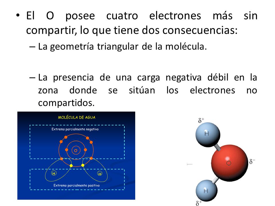 El O posee cuatro electrones más sin compartir, lo que tiene dos consecuencias: