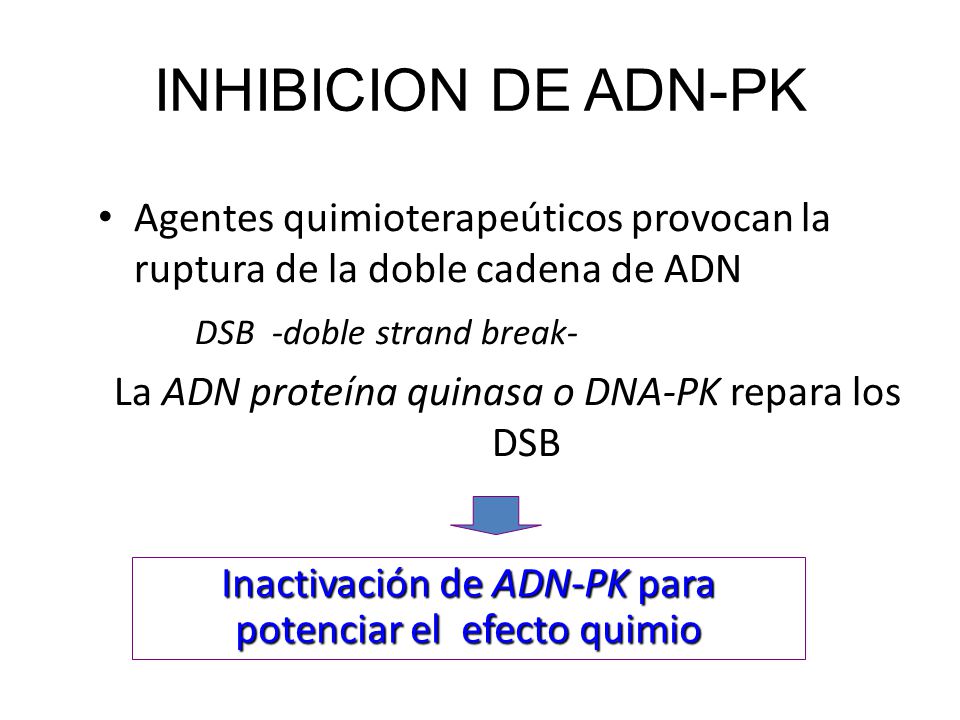 INHIBICION DE ADN-PK Agentes quimioterapeúticos provocan la ruptura de la doble cadena de ADN. DSB -doble strand break-