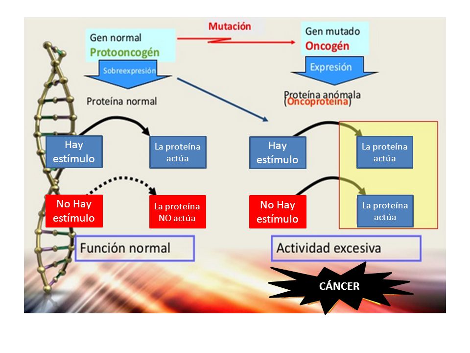Hay estímulo Hay estímulo No Hay estímulo No Hay estímulo CÁNCER