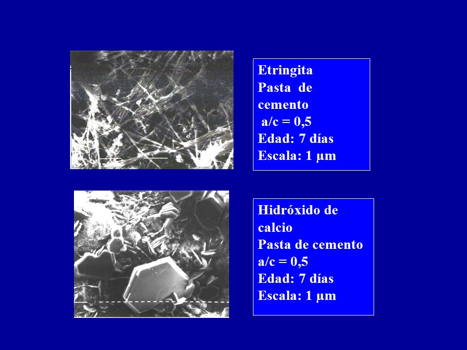 Etringita Pasta de cemento. a/c = 0,5. Edad: 7 días. Escala: 1 µm. Hidróxido de calcio. Pasta de cemento.
