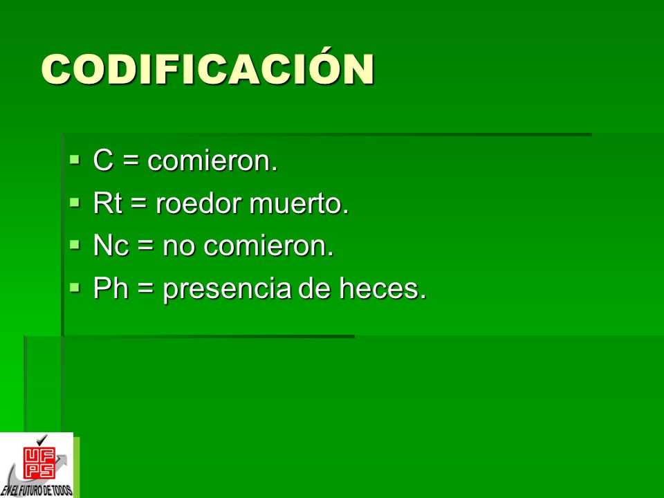 CODIFICACIÓN C = comieron. Rt = roedor muerto. Nc = no comieron.