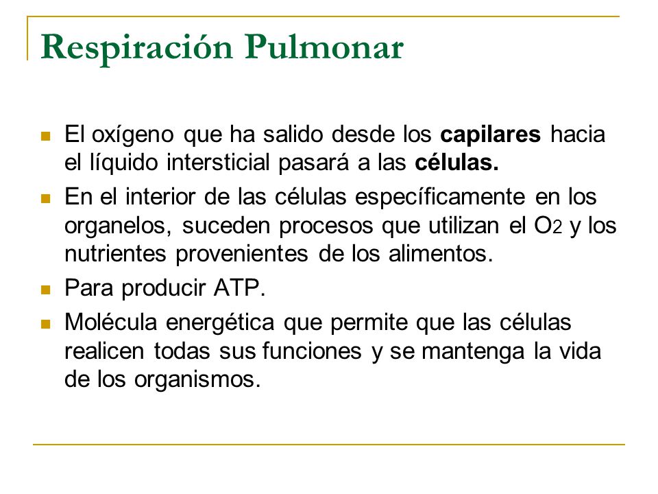 Respiración Pulmonar El oxígeno que ha salido desde los capilares hacia el líquido intersticial pasará a las células.