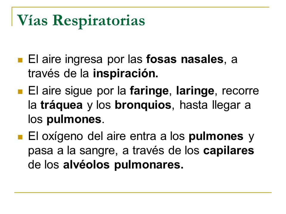 Vías Respiratorias El aire ingresa por las fosas nasales, a través de la inspiración.