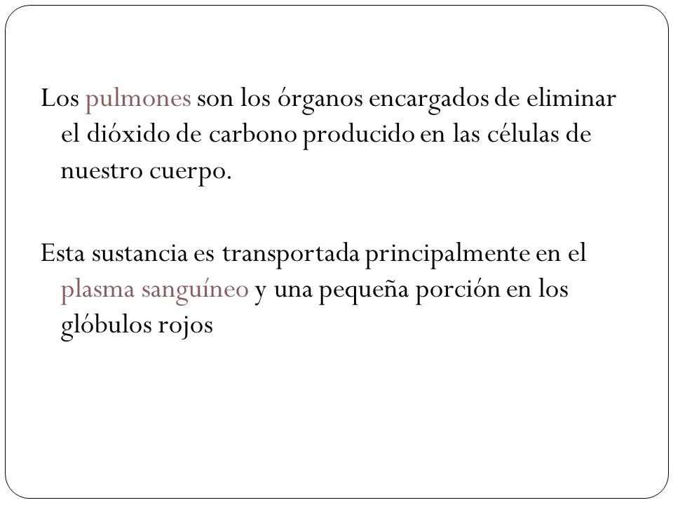 Los pulmones son los órganos encargados de eliminar el dióxido de carbono producido en las células de nuestro cuerpo.