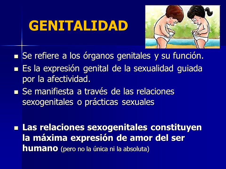 GENITALIDAD Se refiere a los órganos genitales y su función.