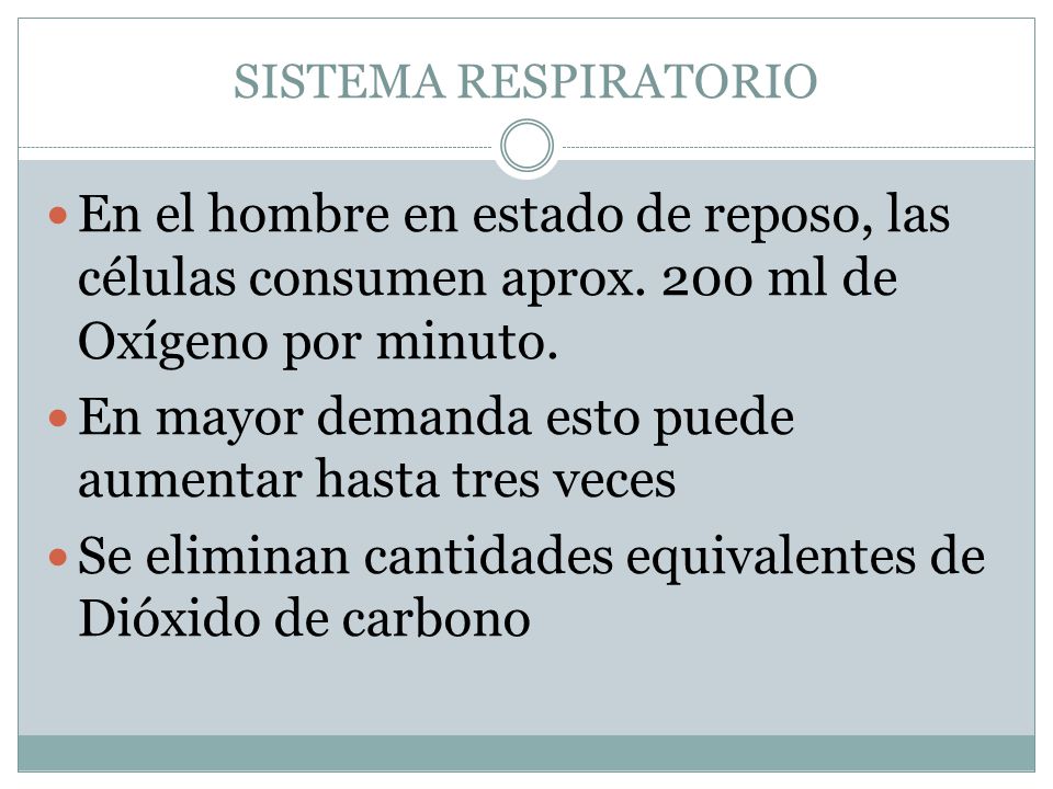 En mayor demanda esto puede aumentar hasta tres veces