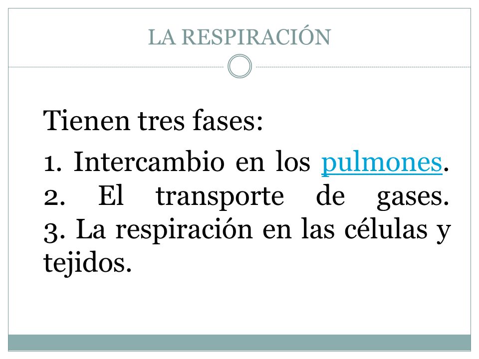 LA RESPIRACIÓN Tienen tres fases: 1. Intercambio en los pulmones.