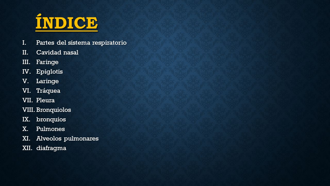 índice Partes del sistema respiratorio Cavidad nasal Faringe Epiglotis