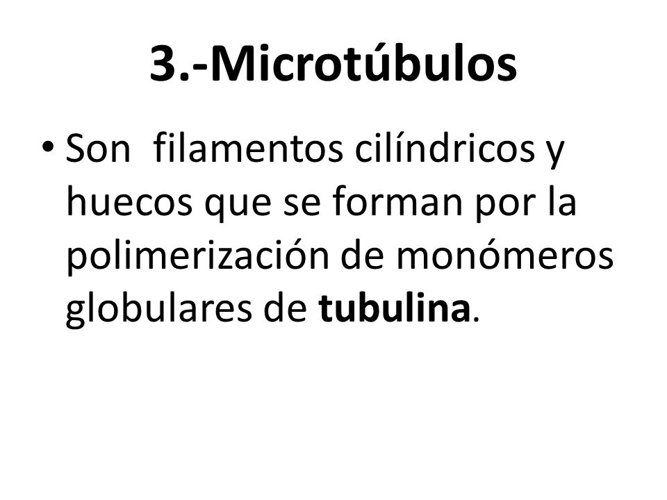 3.-Microtúbulos Son filamentos cilíndricos y huecos que se forman por la polimerización de monómeros globulares de tubulina.